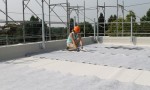  Fondazione Minoprio green roof installation